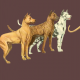 Fabric 16687 | PSY DOGI - GREAT DANE DOGS