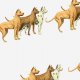 Fabric 16690 | PSY DOGI - GREAT DANE DOGS