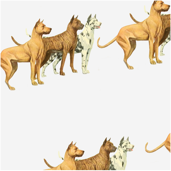 Fabric 16690 | PSY DOGI - GREAT DANE DOGS