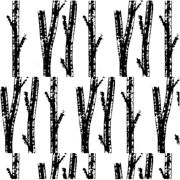 Fabric 16830 | Tree