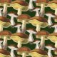 Fabric  | Mushrooms_001_002