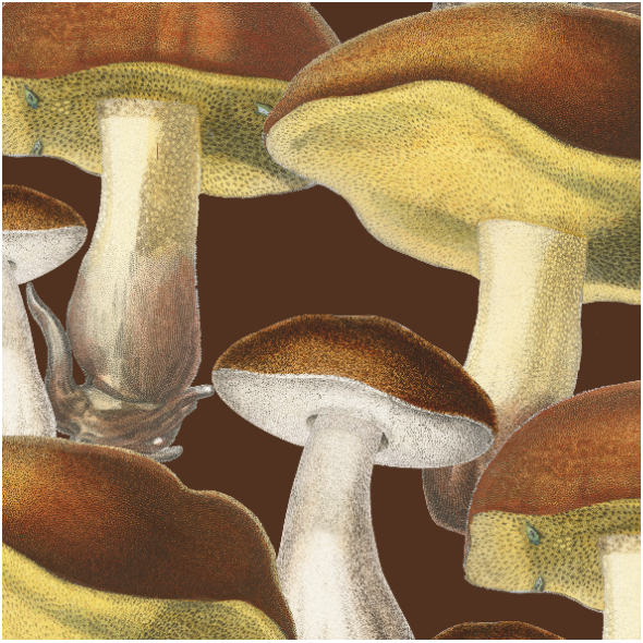 Tkanina  | Mushrooms_001_001