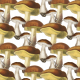 Fabric 16903 | Mushrooms_001_003