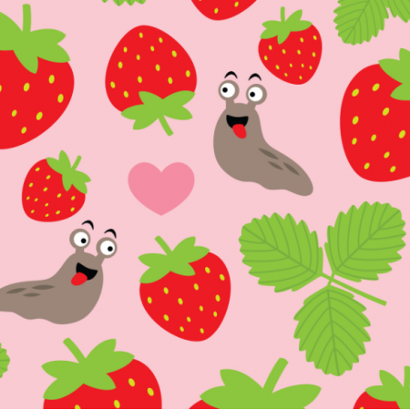 17402 | I Love Strawberries