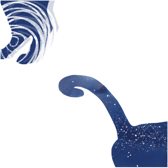 Fabric 17581 | night