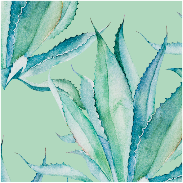 Tkanina 17898 | Aloes na mietowym