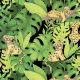 Tkanina 18181 | HELLO LIL JUNGLE KITTENS0