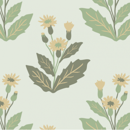 Fabric 18566 | common hawkweed