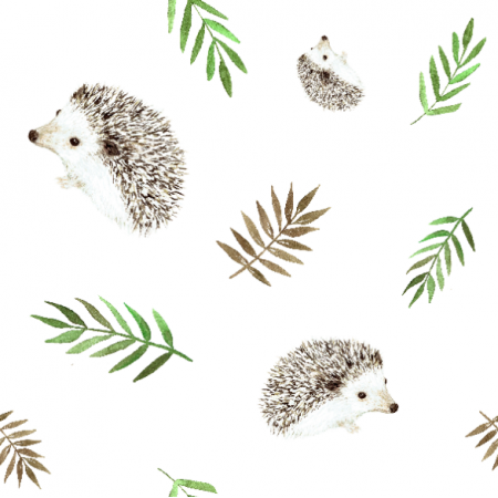 18649 | Hedgehogs