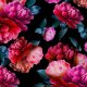 Tkanina 18700 | vibrant peonies