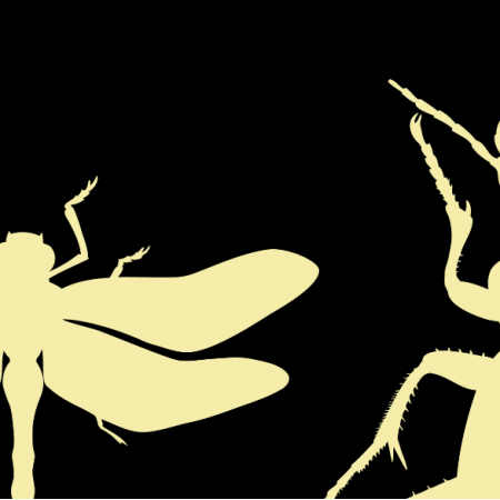 Tkanina 18754 | Bugs on black xl