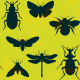 Tkanina 18756 | bugs on vivid green small