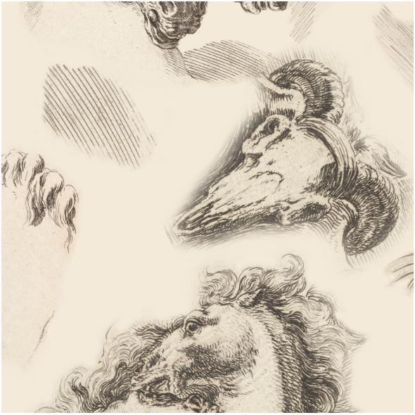 Fabric 18778 | Czaszki i Szalone Konie