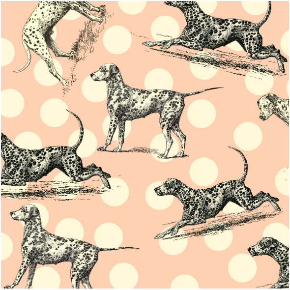 Fabric 19008 | DalmatyŃczyki - Dalmatian Dogs