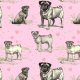 Tkanina 19040 | PUG DOGS ON PINK - PSY MOPSY NA RÓŻOWYM
