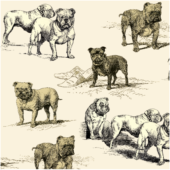 Tkanina 19045 | PSY BULDOGI ANGIELSKIE  na ECRU - ENGLISH BULLDOG DOGS