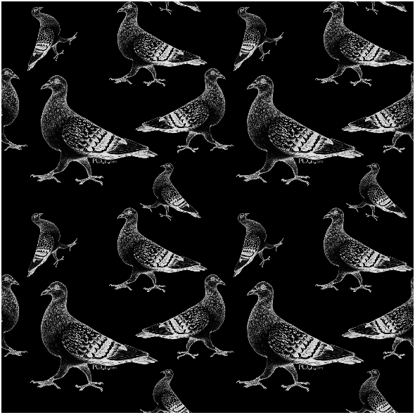 Fabric 19066 | gołębie czarno białe