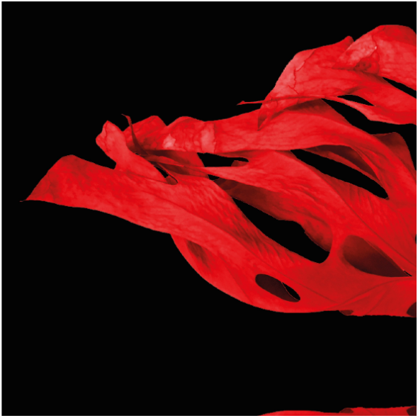 Fabric 19144 | wzór_liście0