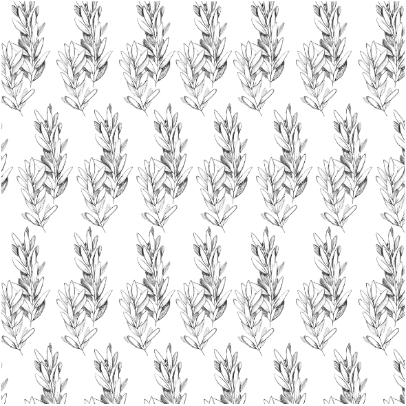Fabric 19231 | Olive branch hand drawn with pen seamless pattern