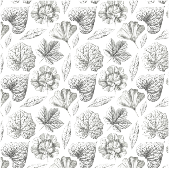 Fabric 19292 | LISTKI CZARNO BIAŁE  - Black & White leaves