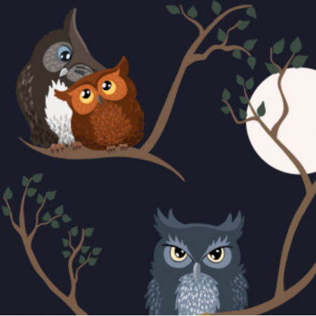 Tkanina 19490 | Awww owls (night)
