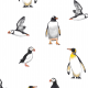 Tkanina 19732 | penguins & Puffins