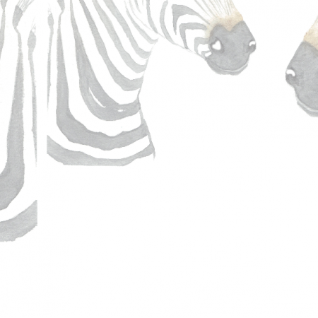 Fabric 19744 | malowane zebry na białym tle