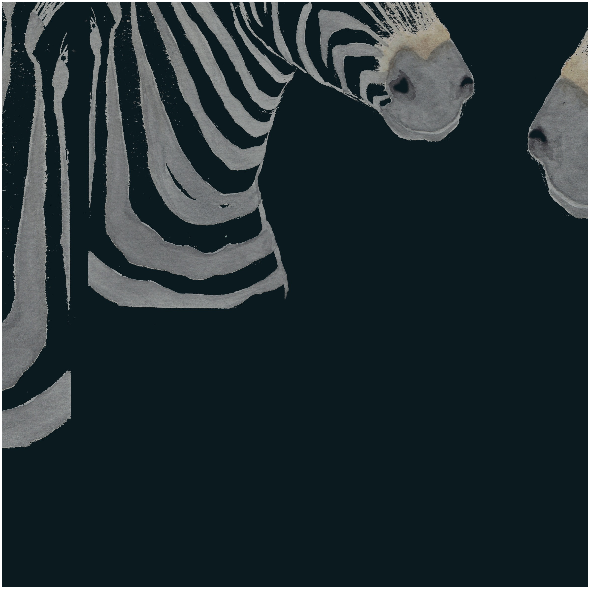 Tkanina 19777 | malowane zebry na czarnym tle, tapeta