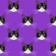 Fabric 19824 | B&W Cats purple