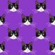 Tkanina 19824 | B&W Cats purple