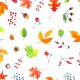 Fabric 19827 | autumn leaves