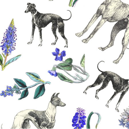20198 | Psy Charty i niebieskie kwiatki na białym tle
