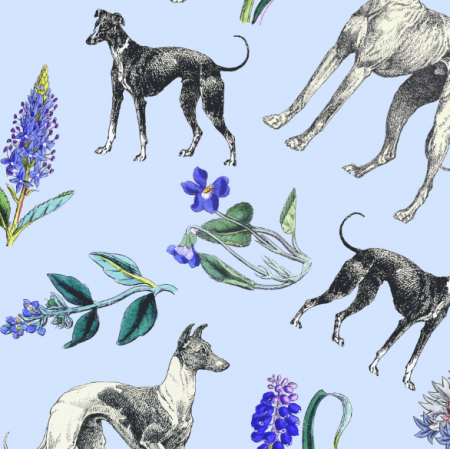 20202 | Psy Charty i niebieskie kwiatki na niebieskim