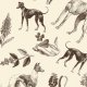 Fabric 20206 | Psy Charty i polne kwiatki Sepia na kremowym