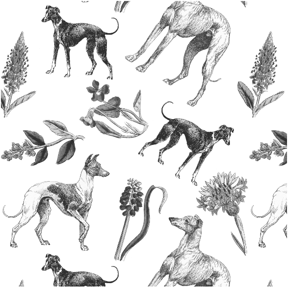 Tkanina 20207 | Psy Charty i Polne kwiatki Czarno Białe